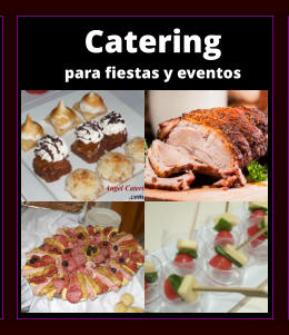 CATERING PARA FIESTAS en Zona Sur - CATERING en Zona Sur